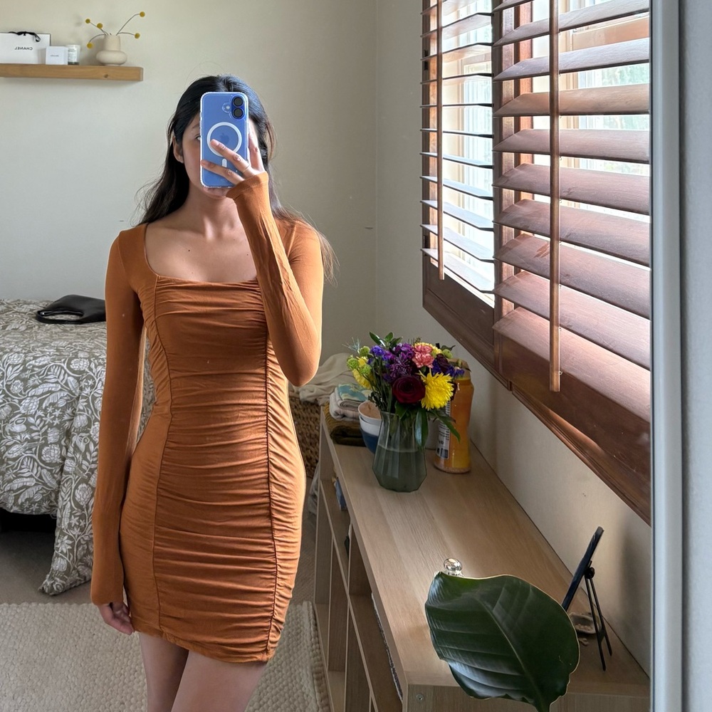 Aritzia Rust Mini Dress